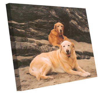 Double Sided Canvas Cloth Custom Print