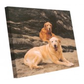 Double Sided Canvas Cloth Custom Print