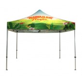 full color print dye sub canopy tent